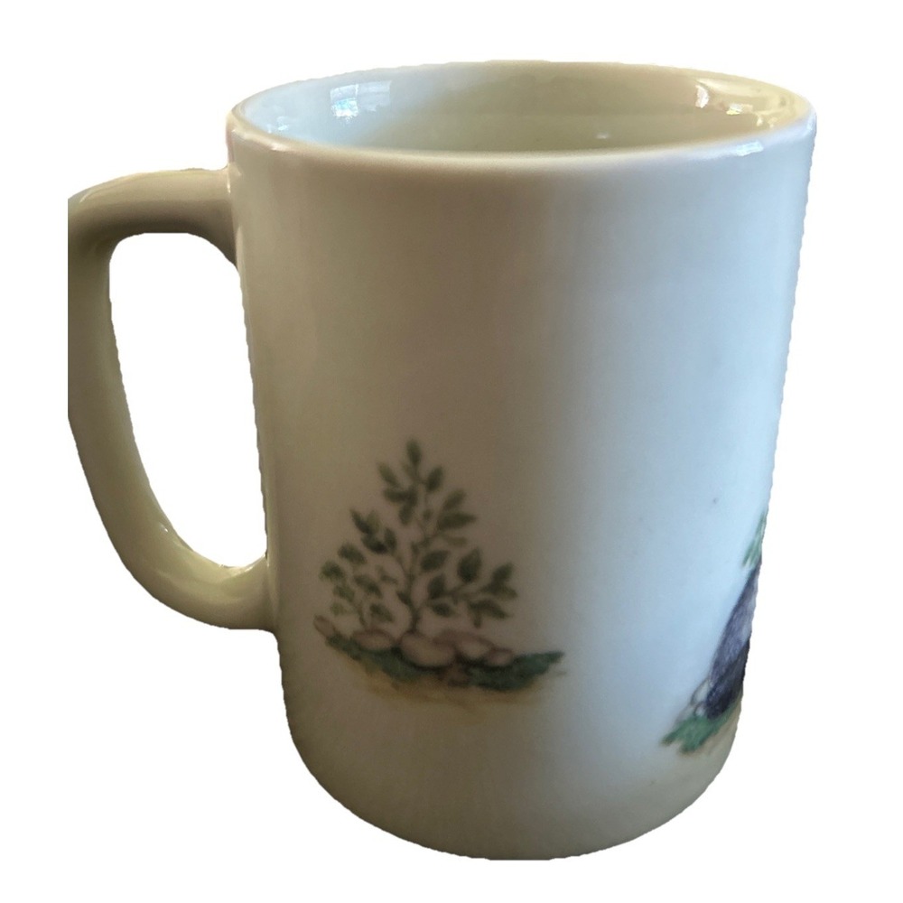 Otagiri Mugs Lot Of 3 Eagle Raccoon Natures Endangered Wildlife Japan Vintage - Picture 7 of 9